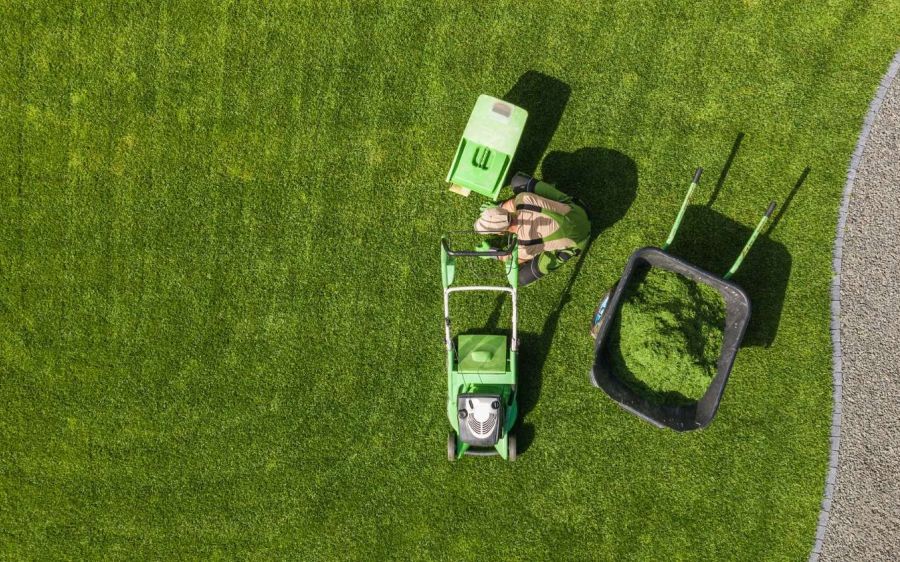 Person using a mower to cut grass in a well-maintained lawn
