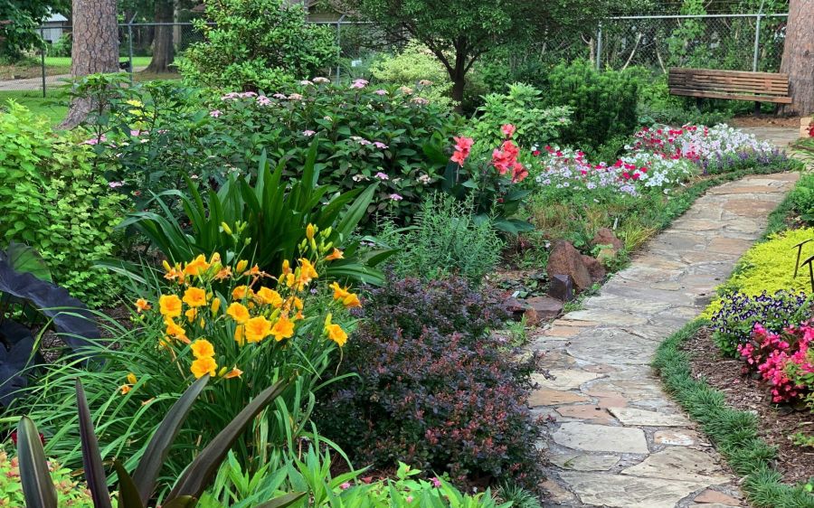 urban-garden-maintenance-tips-Glebe-and-Marrickville