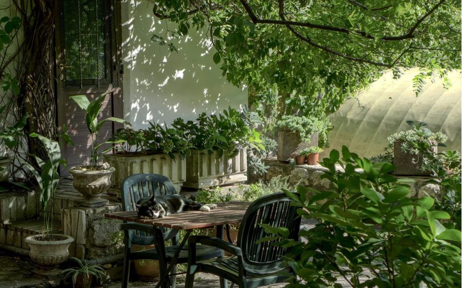 modern-landscaping-ideas-elizabeth-bay
